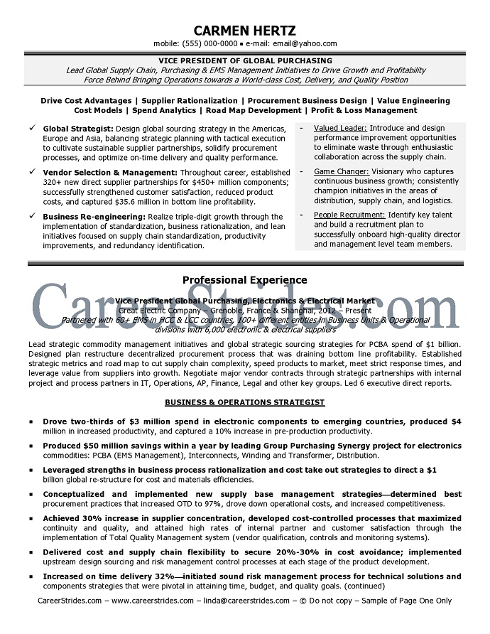 VP resume samples